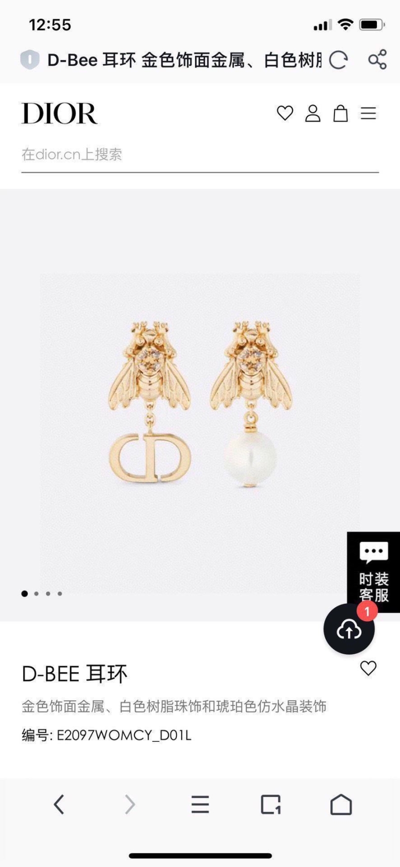 Christian Dior Earrings